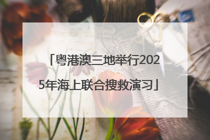 粤港澳三地举行2025年海上联合搜救演习