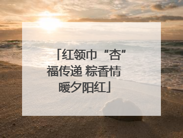 红领巾“杏”福传递 粽香情暖夕阳红