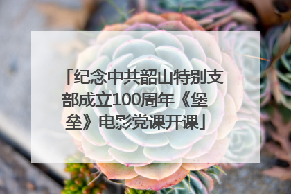纪念中共韶山特别支部成立100周年《堡垒》电影党课开课