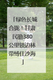 绿色长城合拢！甘肃民勤380公里锁边林带缚住沙海