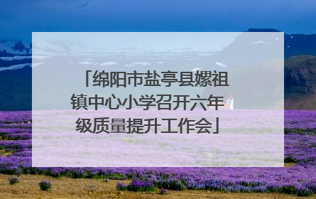 绵阳市盐亭县嫘祖镇中心小学召开六年级质量提升工作会