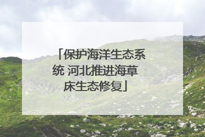 保护海洋生态系统 河北推进海草床生态修复