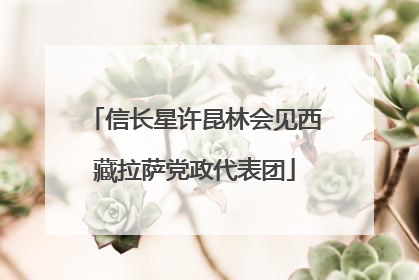 信长星许昆林会见西藏拉萨党政代表团