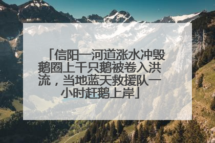 信阳一河道涨水冲毁鹅圈上千只鹅被卷入洪流，当地蓝天救援队一小时赶鹅上岸