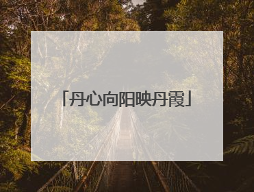 丹心向阳映丹霞