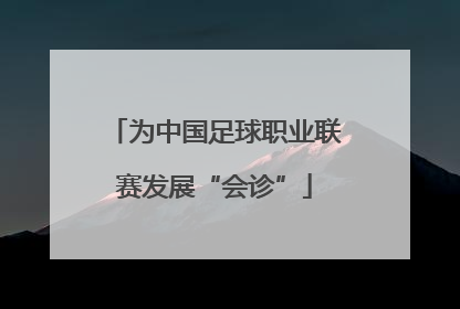 为中国足球职业联赛发展“会诊”
