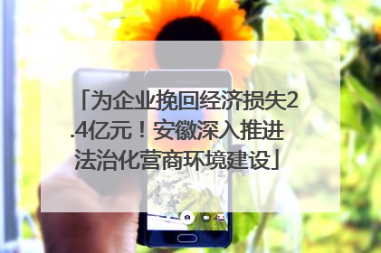 为企业挽回经济损失2.4亿元！安徽深入推进法治化营商环境建设