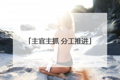 主官主抓 分工推进