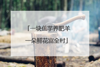一块蕉芋养肥羊 一朵鲜花富全村