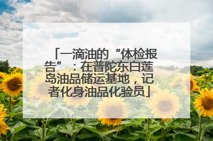 一滴油的“体检报告”：在普陀东白莲岛油品储运基地，记者化身油品化验员
