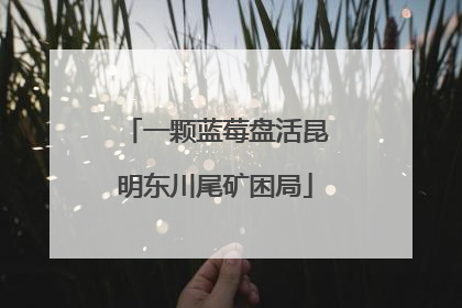 一颗蓝莓盘活昆明东川尾矿困局