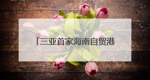 三亚首家海南自贸港跨境资金集中运营中心落户三亚CBD