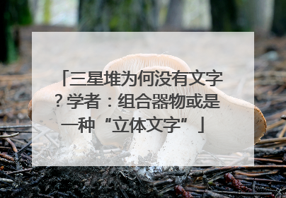 三星堆为何没有文字？学者：组合器物或是一种“立体文字”
