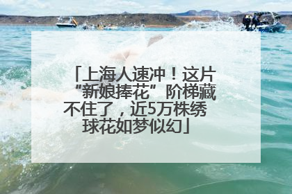 上海人速冲！这片“新娘捧花”阶梯藏不住了，近5万株绣球花如梦似幻