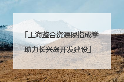 上海整合资源攥指成拳助力长兴岛开发建设