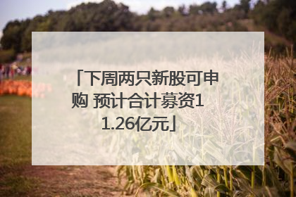 下周两只新股可申购 预计合计募资11.26亿元