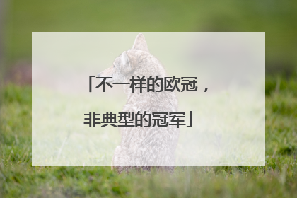 不一样的欧冠，非典型的冠军