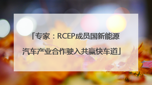专家：RCEP成员国新能源汽车产业合作驶入共赢快车道