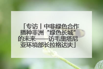 专访丨中非绿色合作播种非洲“绿色长城”的未来——访毛里塔尼亚环境部长拉格达夫