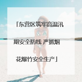 东营区筑牢高温汛期安全防线 严抓烟花爆竹安全生产