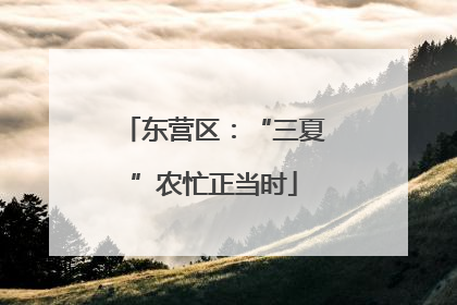 东营区：“三夏”农忙正当时