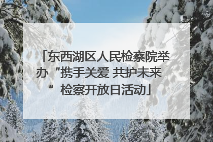 东西湖区人民检察院举办“携手关爱 共护未来”检察开放日活动