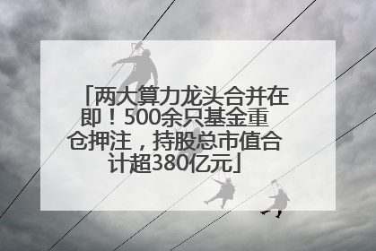 两大算力龙头合并在即！500余只基金重仓押注，持股总市值合计超380亿元