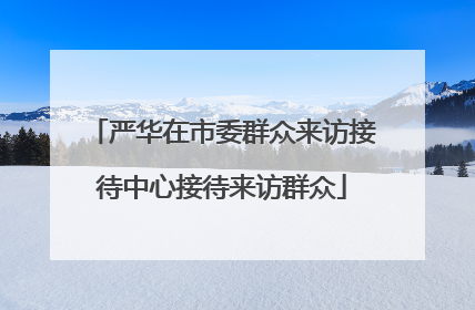 严华在市委群众来访接待中心接待来访群众