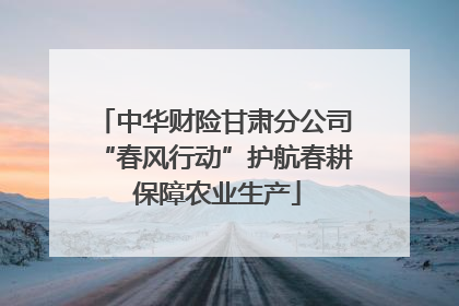 中华财险甘肃分公司“春风行动”护航春耕 保障农业生产