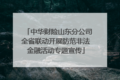 中华财险山东分公司全省联动开展防范非法金融活动专题宣传
