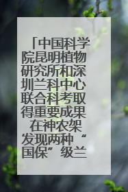 中国科学院昆明植物研究所和深圳兰科中心联合科考取得重要成果 在神农架发现两种“国保”级兰花