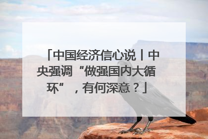 中国经济信心说丨中央强调“做强国内大循环”，有何深意？