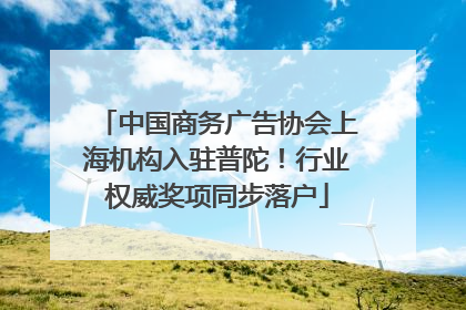 中国商务广告协会上海机构入驻普陀！行业权威奖项同步落户