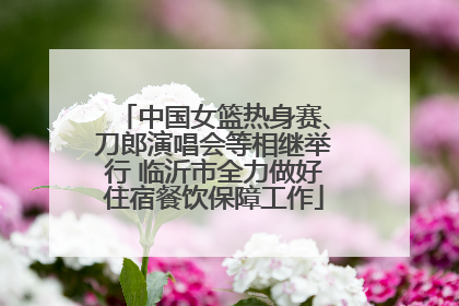 中国女篮热身赛、刀郎演唱会等相继举行 临沂市全力做好住宿餐饮保障工作
