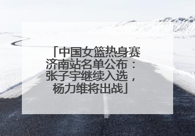 中国女篮热身赛济南站名单公布：张子宇继续入选，杨力维将出战