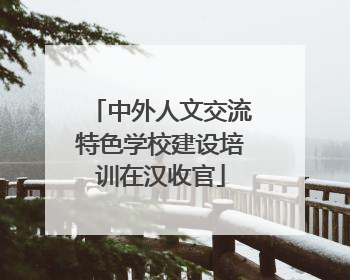 中外人文交流特色学校建设培训在汉收官