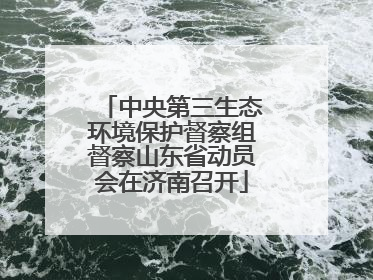 中央第三生态环境保护督察组督察山东省动员会在济南召开