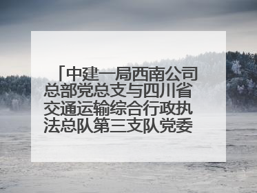 中建一局西南公司总部党总支与四川省交通运输综合行政执法总队第三支队党委、万源市草坝镇莲花院村党支部开展党建联建
