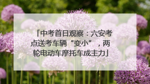 中考首日观察：六安考点送考车辆“变小”，两轮电动车摩托车成主力