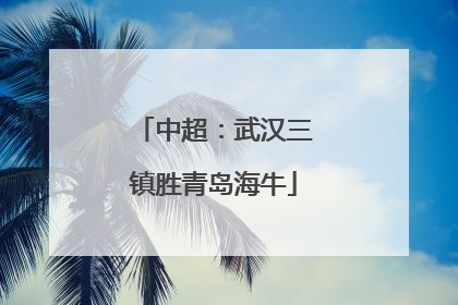 中超：武汉三镇胜青岛海牛