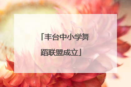 丰台中小学舞蹈联盟成立