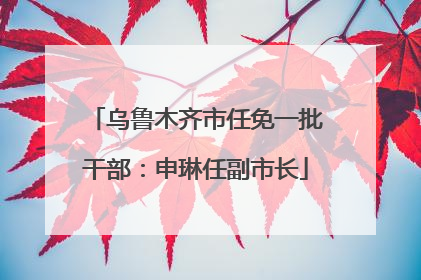 乌鲁木齐市任免一批干部：申琳任副市长