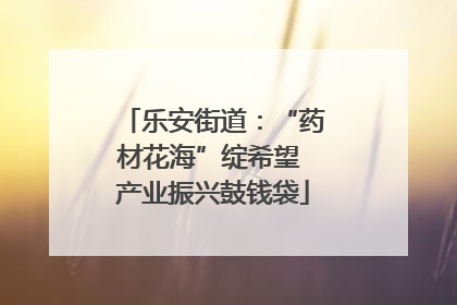 乐安街道：“药材花海”绽希望 产业振兴鼓钱袋