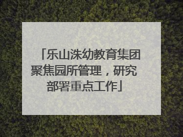 乐山洙幼教育集团聚焦园所管理，研究部署重点工作