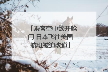 乘客空中欲开舱门 日本飞往美国航班被迫改道