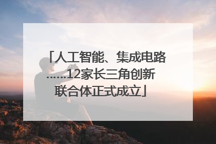 人工智能、集成电路……12家长三角创新联合体正式成立