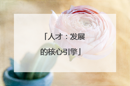 人才：发展的核心引擎