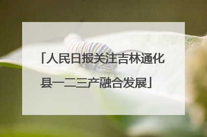人民日报关注吉林通化县一二三产融合发展