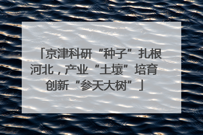 京津科研“种子”扎根河北，产业“土壤”培育创新“参天大树”