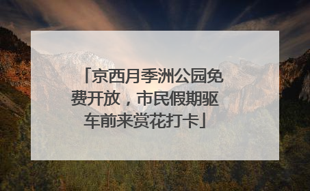 京西月季洲公园免费开放，市民假期驱车前来赏花打卡